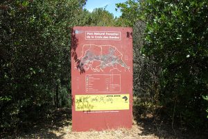 Croix des gardes - Plan parc naturel forestier - Bleu Regard