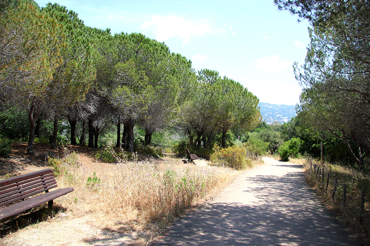 Croix des gardes - Sentier vers la croix 2 - Pinede - Bleu Regard
