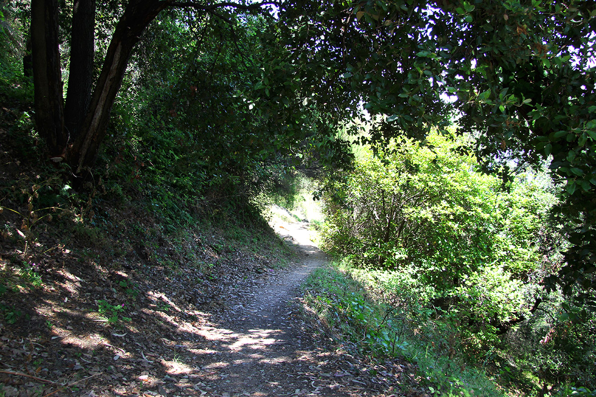Croix des gardes - foret sentier - Bleu Regard