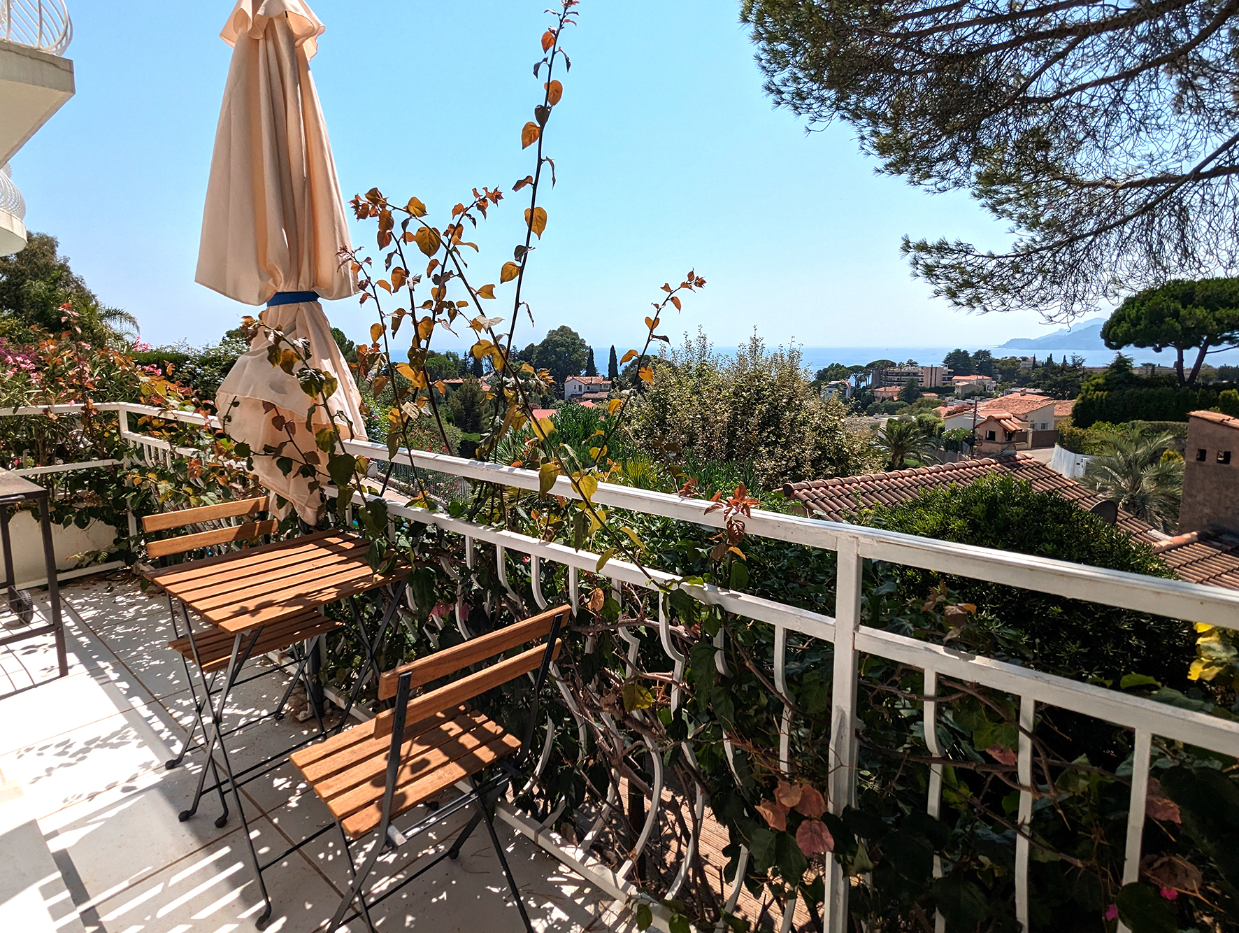 PXL_20240730_121906045M